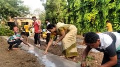 Gardening Activity for Students